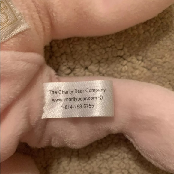 The Charity Bear Company Breast Cancer Awareness Bear Plush Stuffed Animal - Picture 8 of 8